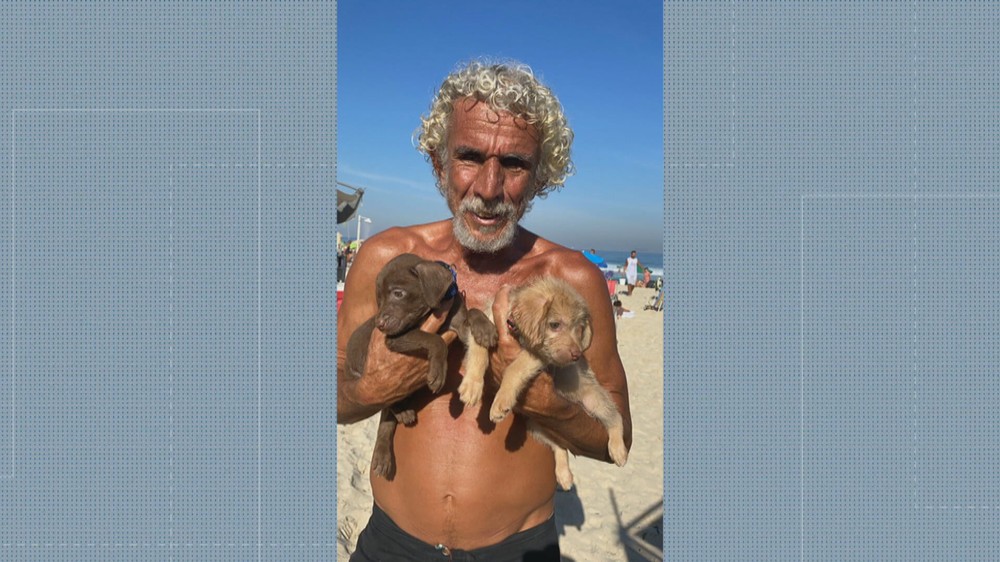 rj1 dogs2