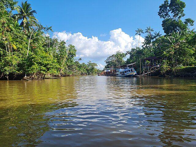 Ilha do Combu 4315608490