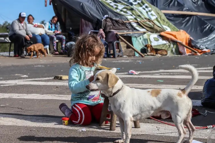 Familias improvisam acampamentos em rodovias para vigiar suas casas 1