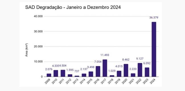 Degradação da Amazônia teve recorde histórico em 2024, diz Imazon 1 WhatsApp Image 2025 01 24 at 11.14.27