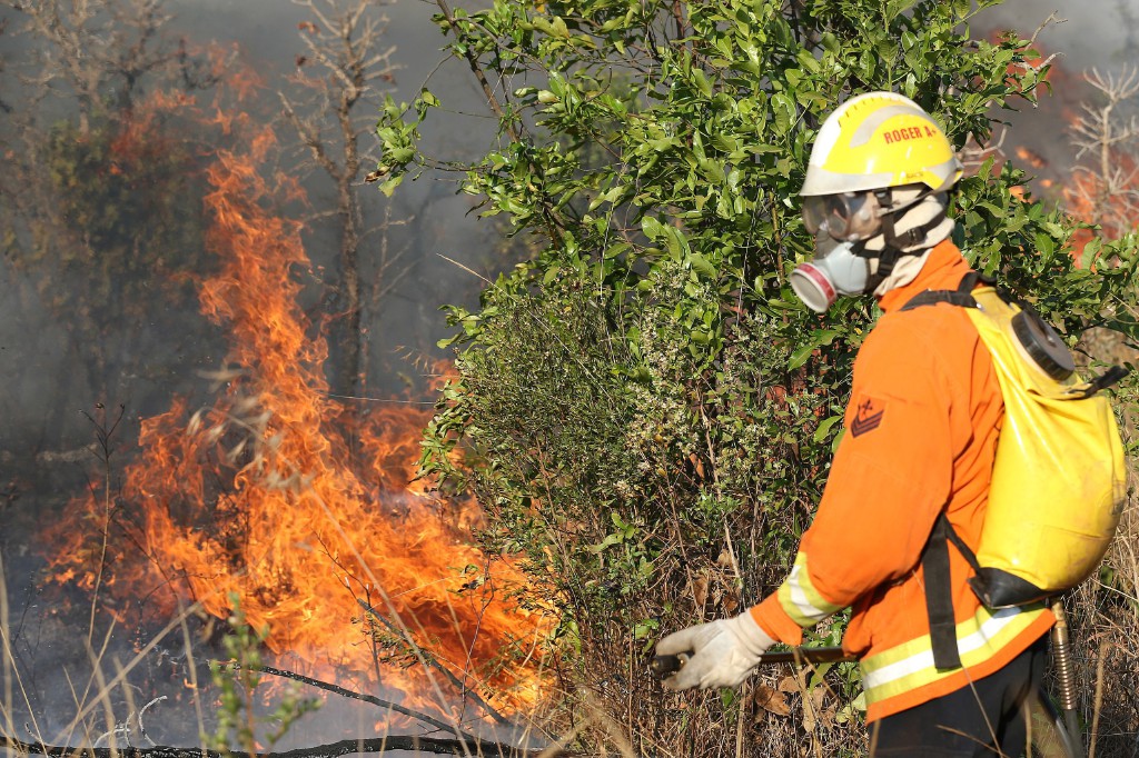 Incendio no Parque Nacional de Brasilia 36925811075