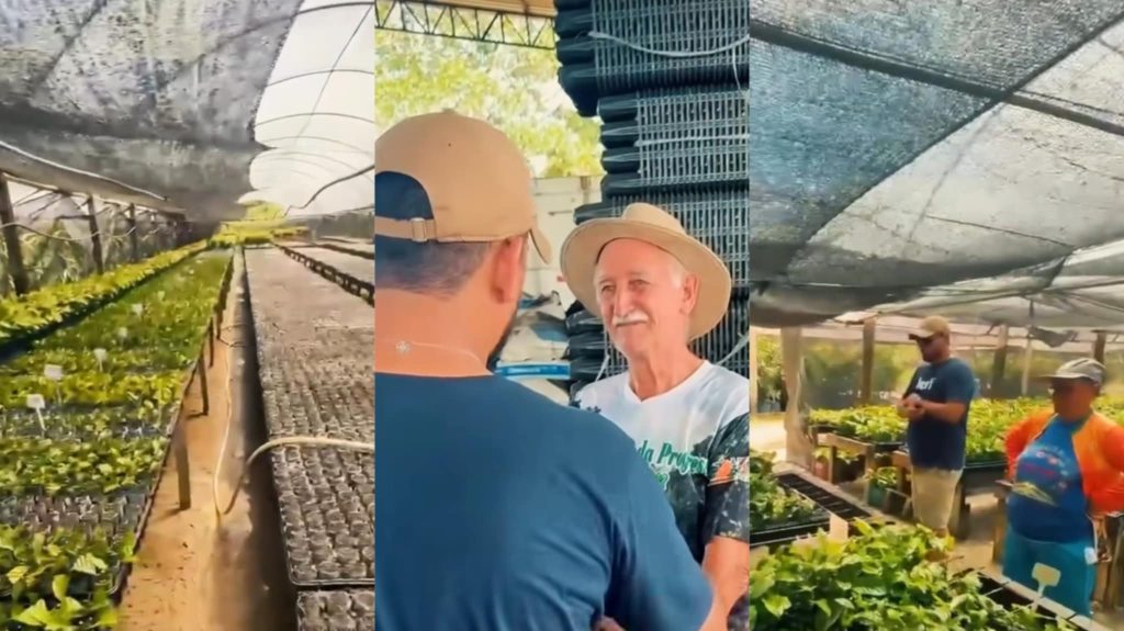 Prefeito Jarlem CB pretende investir no café para fortalecer setor primário de Boa Vista do Ramos, que já produz o melhor mel no Amazonas 1 Prefeito Jarlem CB vai apostar no cafe para fortalecer setor primario de Boa Vista do Ramos que ja produz o melhor mel no Amazonas