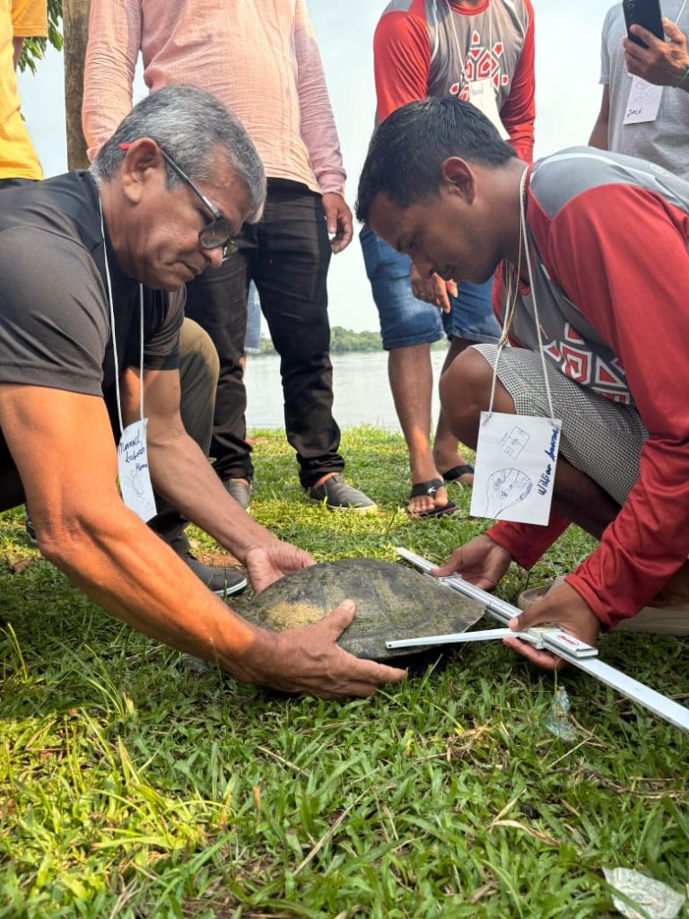 Curso capacita comunitários da RDS Piagaçu Purus para conservação de quelônios amazônicos 1 IMG 20250821 WA0033