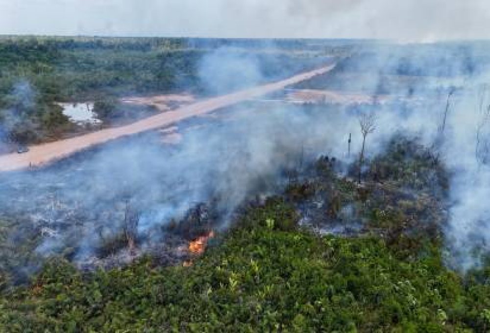 AMAZÔNIA Em outubro, de cada cinco hectares queimados três eram da floresta: queimada foi maior em vegetação nativa do que em pastagens (Evaristo Sá/AFP)