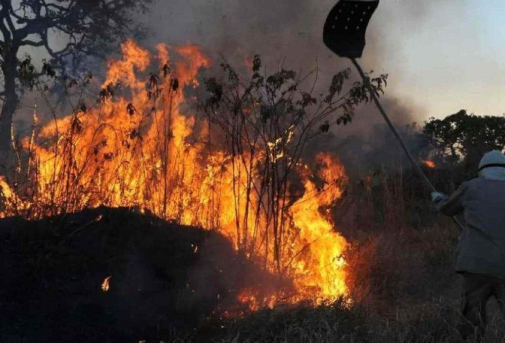 Brigadista combate incêndio em Mato Grosso: Ministério Público requereu na Justiça o reforço de 450 homens, além de aeronaves e mais verbas - (crédito: Valter Campanato/Agencia Brasil)