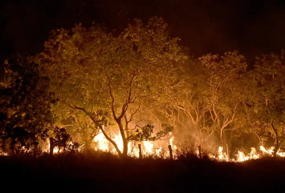 © Jader Souza/AL Roraima