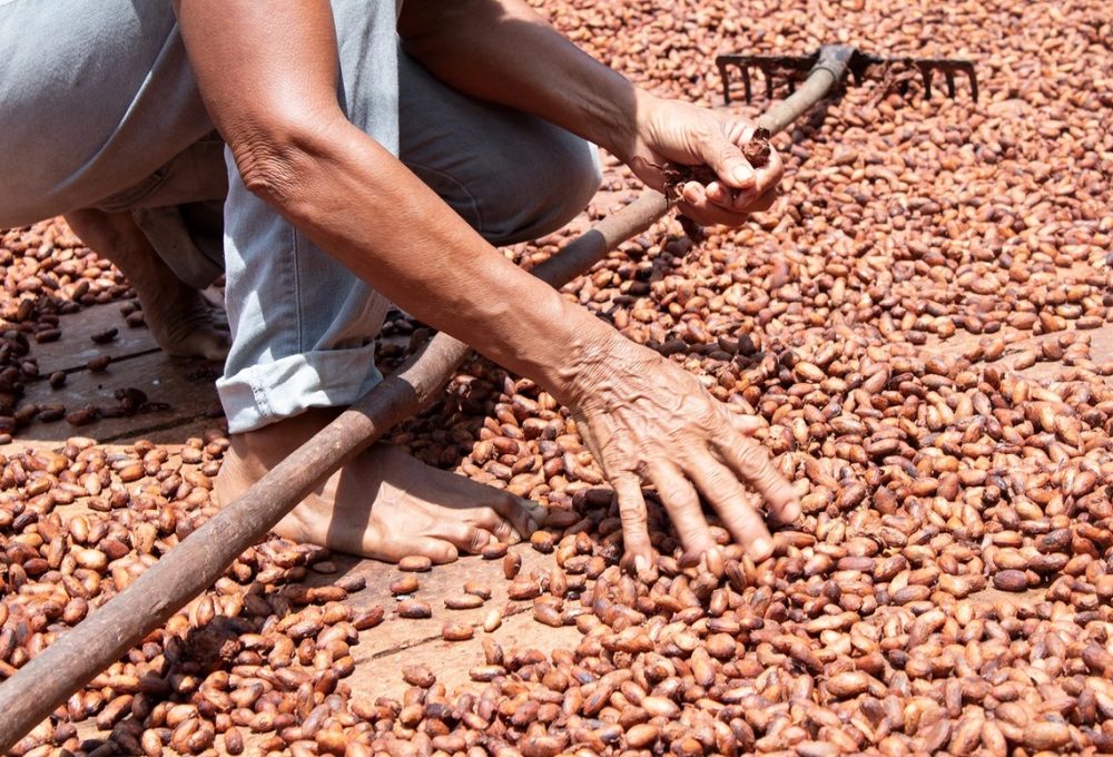 Divulgação/Acervo da Na’kau Chocolate Amazônico