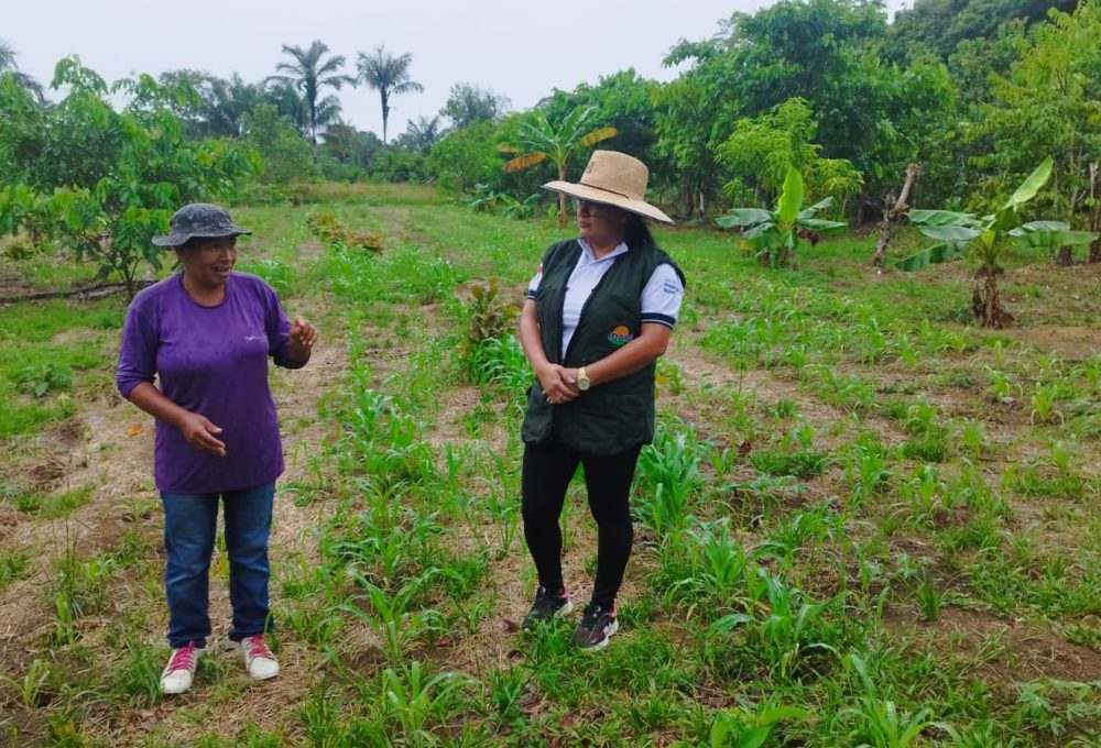 Fotos: Antônio Barros/Idam