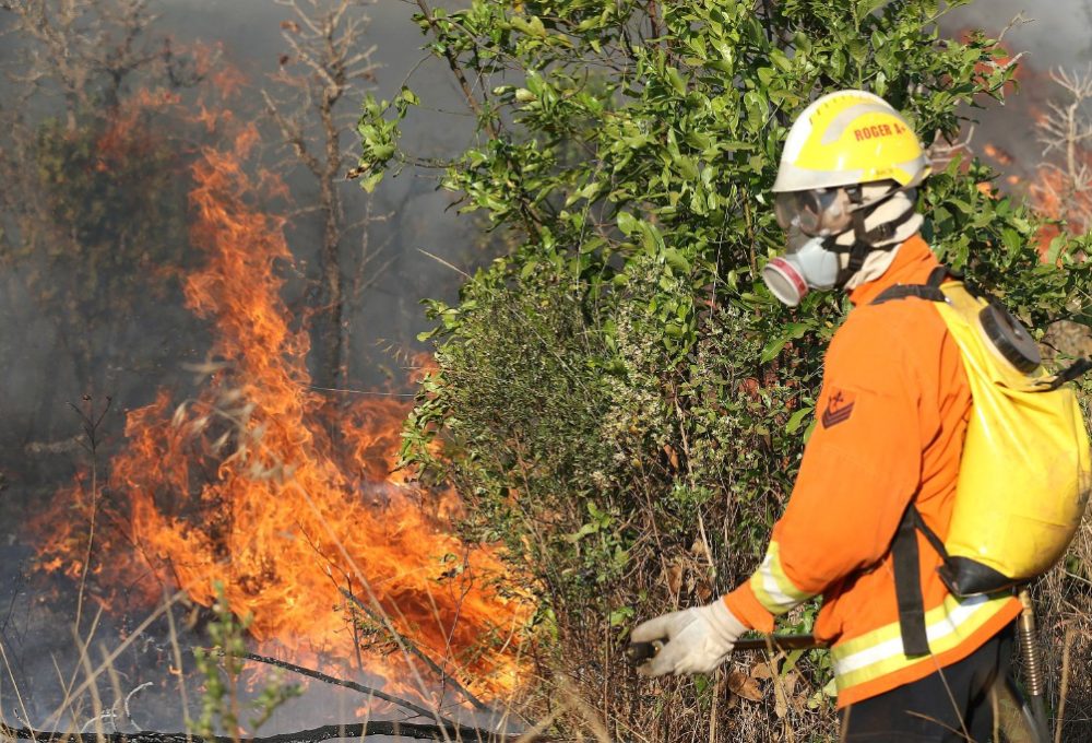 Brasília - Incêndio de grandes proporções atinge o Parque Nacional de Brasília (Fabio Rodrigues Pozzebom/Agência Brasil)