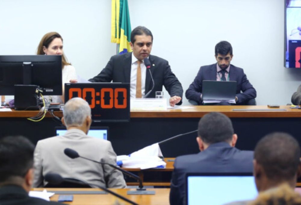 Sessão da Comissão de Previdência, Assistência Social, Infância, Adolescência e Família da Câmara dos Deputados. Foto: Vinicius Loures/Câmara dos Deputados