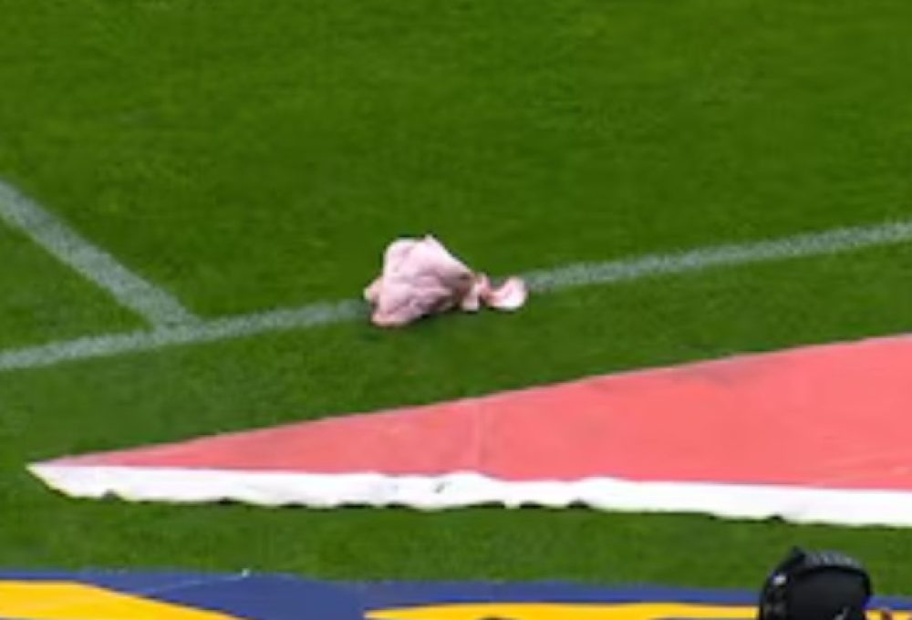 Torcedores do Corinthians jogaram cabeça de porco no campo em clássico com o Palmeiras. Foto: Reprodução/Premiere