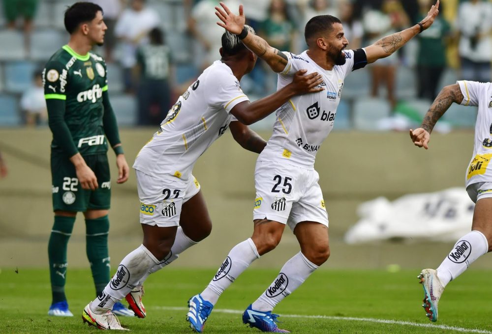 O Santos venceu o Palmeiras por 2 a 1, na Arena Barueri (Foto: Eduardo Carmim/Photo Premium/Gazeta Press)