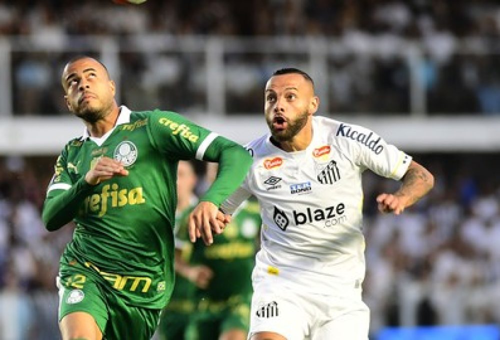 Mayke e Guilherme em Santos x Palmeiras (Foto: Marcos Ribolli)