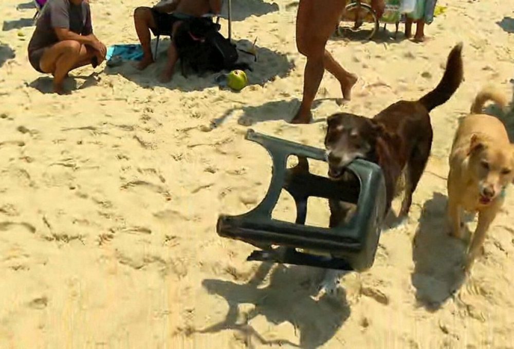 Som e DJ encantam clientes de barraca na Praia de Ipanema — Foto: Reprodução/ TV Globo